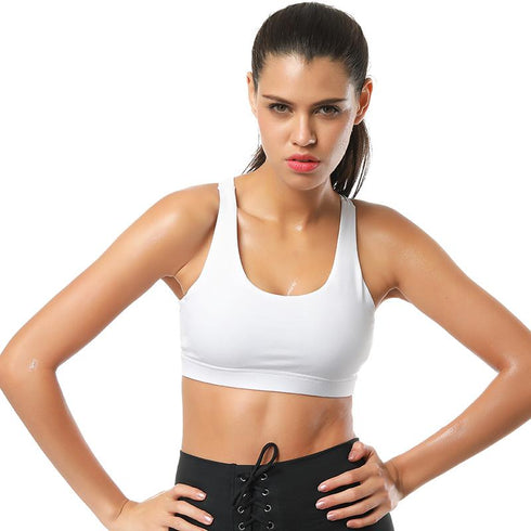 Womens Sports Bra