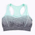 Womens Sports Bra
