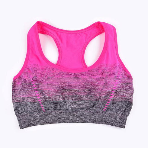 Womens Sports Bra